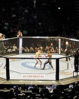 UFC 330